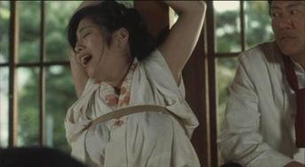 花与蛇3,欲望的漩涡，爱与复仇的交织