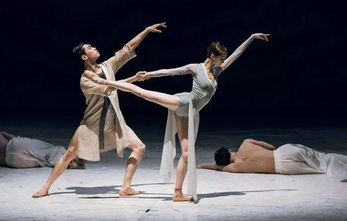 芭蕾女刺客,揭秘芭蕾女刺客的神秘世界